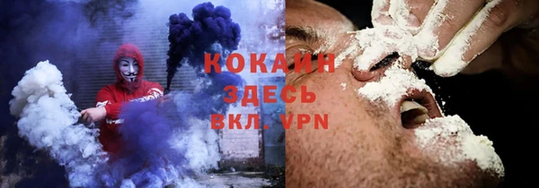 прущие грибы Богородицк