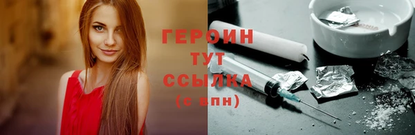 гидра Богородск