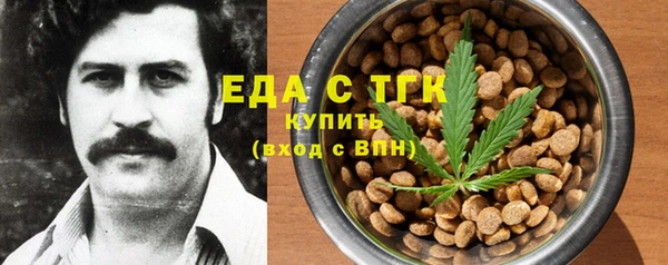 гидра Богородск