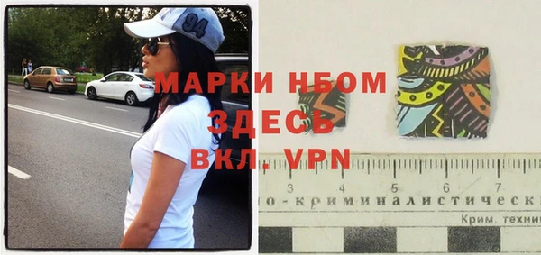 прущие грибы Богородицк