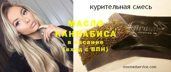 гидра Богородск
